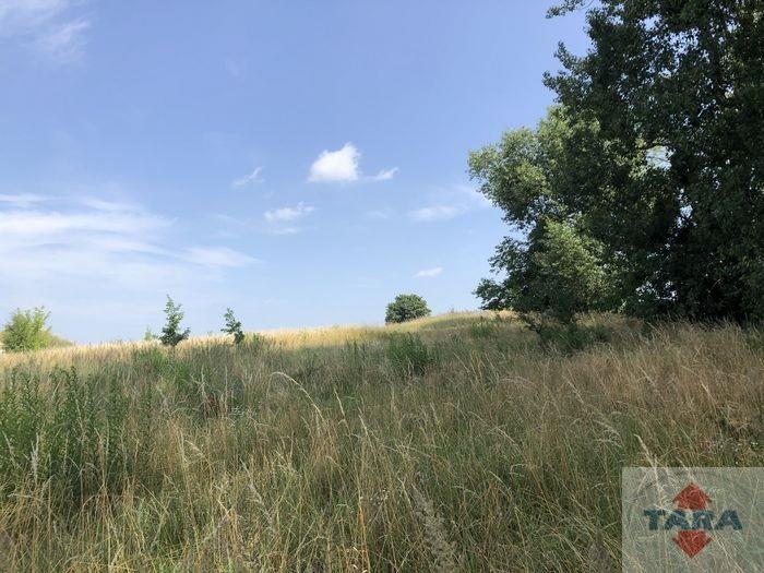 Działka budowlana Łabiszyn Wieś — zdjęcie 9