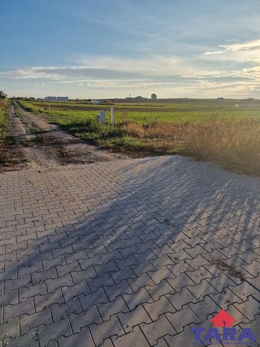 Działka budowlana w Gąsawie — zdjęcie 7