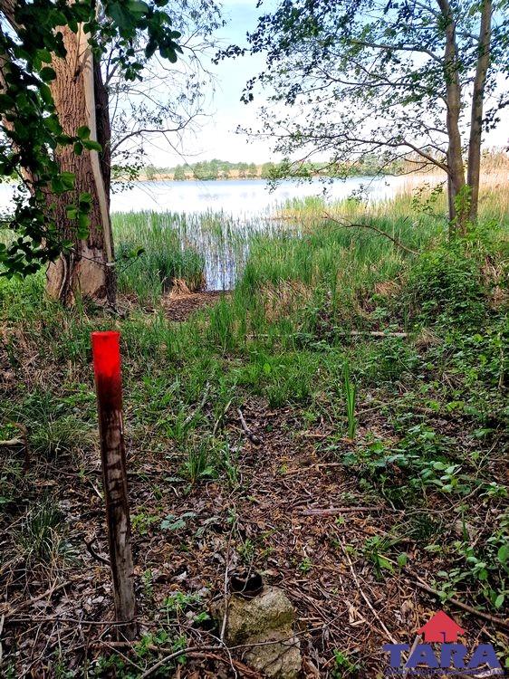 Działka w Wolicach nad jeziorem Kierzkowskim. — zdjęcie 7