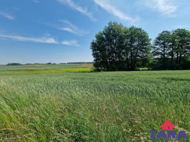 Duża działka, blisko jeziora z WZ! — zdjęcie 6